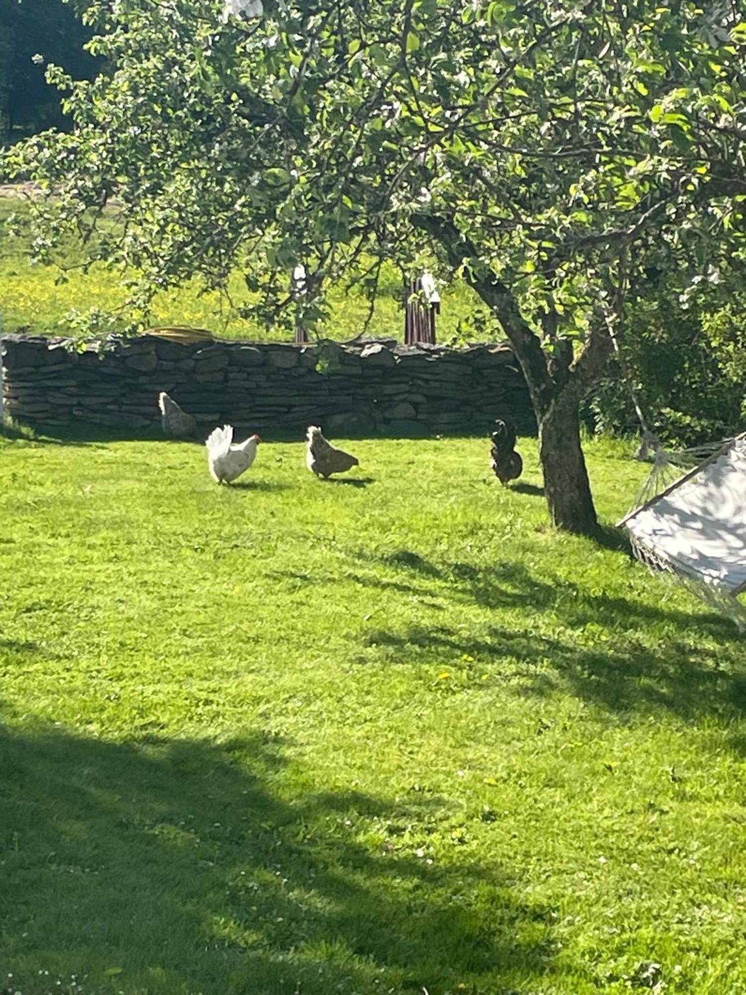 فيلا Jonstorps Brygghus Falköping المظهر الخارجي الصورة